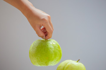 Guava in hand