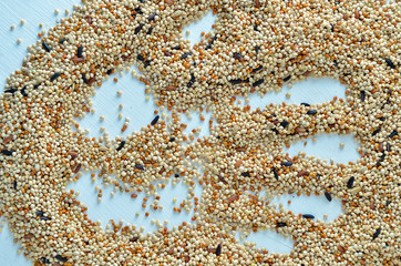 bird seed
