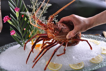 lobster on ice