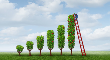 Business Success Growth