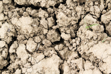 Surface of dry cracked ground texture background.