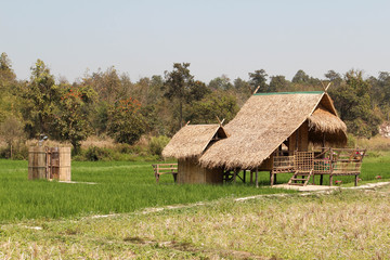 Fototapeta na wymiar Cottage on the rice field in Huai Tueng Thao, Chiangmai, Northern Thailand.