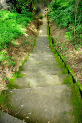stairs with moss in Tomb of the Imogiri Kings on yogyakarta