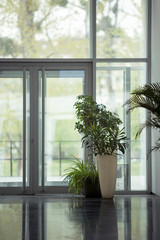 Plants in modern space