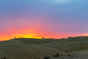 Fototapeta na wymiar sunset over Thar desert, Jaisalmer, Rajasthan, India