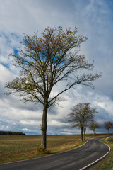 Kurvige Landstraße in der Herbstlandschaft