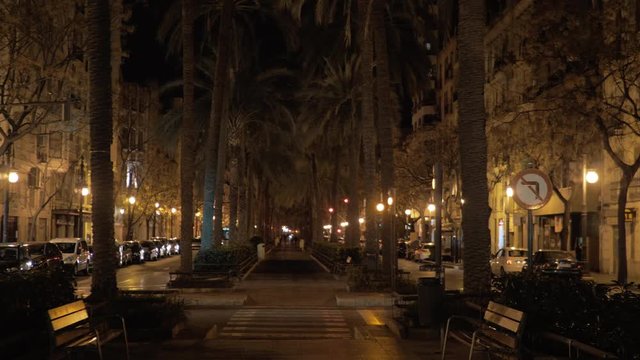 VALENCIA, SPAIN - JANUARY 13, 2018: POV steadicam shot of walking along the walkway lined with palms. Night view with traffic on the street and zebra crossing with traffic lights