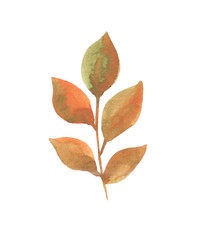watercolor illustration of a twig with leaves in autumn