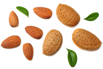 almonds with green leaves isolated on white background. top view.