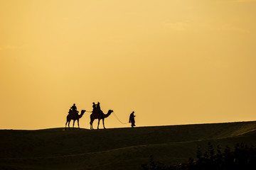 Sam Sand Dunes, Jaisalmer, Rajasthan, India; 24-Feb-2019; camel ride silhouette against orange sky