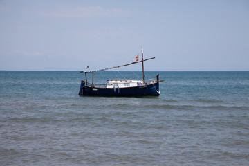 barcos