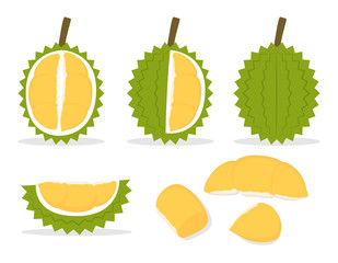 Set  of durian isolated on white background - Vector illustration