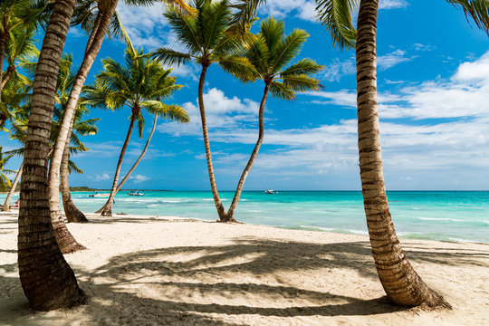 Isola di Saona - Santo Domingo
