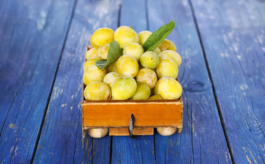 Fresh yellow plums. Ripe fruits in a wooden box on blue boards background.