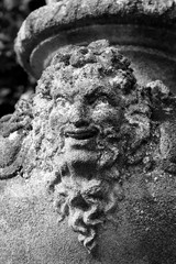 Le visage de pierre