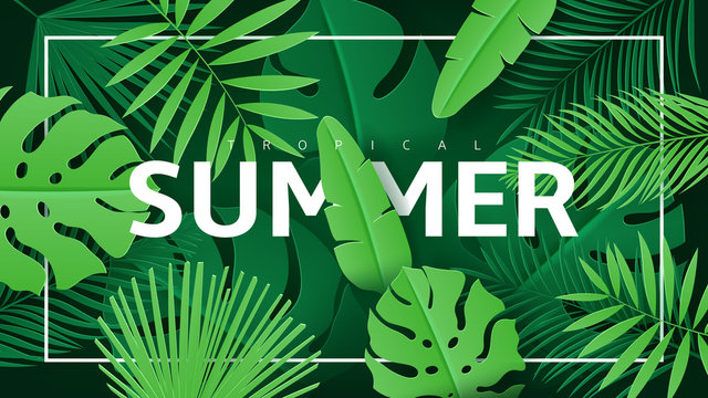 Tropical summer banner with green leaves. Vector illustration with tropical leaves in paper cut style on dark green background.