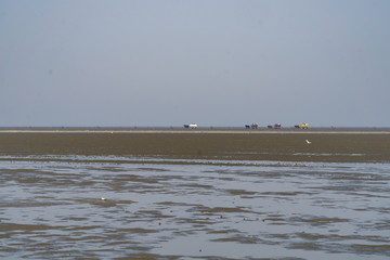 Wattenmeer bei Ebbe mit Wattwagen und Wanderern