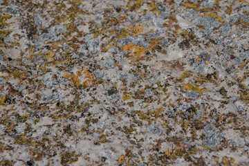 textura pared