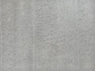 Fototapeta premium wall