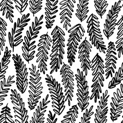 Naklejka na ściany i meble Acacia leaves hand drawn seamless pattern. Vector ornament for wrapping paper.
