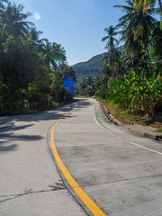 Shadows from palm trees on the road of the island of Phangan. Thailand.