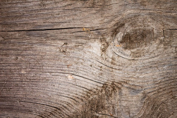 Wooden texture for background, universal design for background in rustic eco style