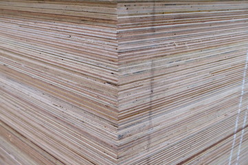 Timber department in Home center