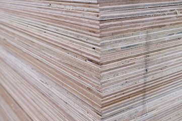 Timber department in Home center