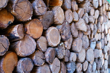 firewood Stack woodshed