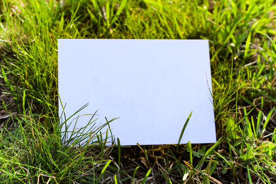 Mock up white greeting card or invitation card on green background with grass