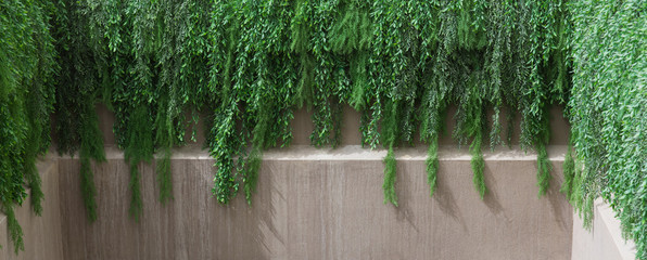 decorative green space of plants, spring tropical natural living background of leaves