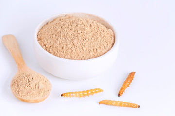 Bamboo worm powder. Bamboo Caterpillar flour for Insects eating as food edible items made of cooked...