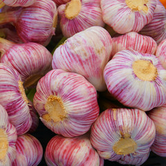 close up of garlic bulbs