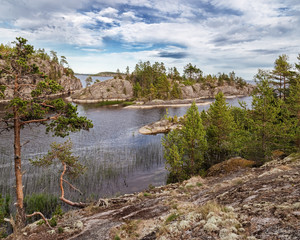Fototapeta premium Nature of Russia. Ladoga Lake. Rocky coast. Spruce forest on shore. Islands in Lake Ladoga. Karelia.