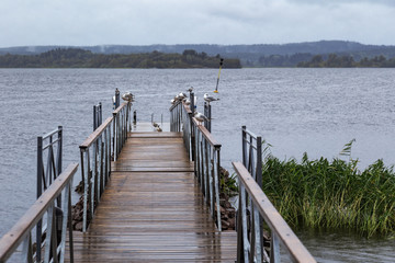 Naklejka premium Boardwalk to lake, blue water, cloudy sky. Birds sit on wooden pier on shore Ladoga Lake. Overcast weather. Karelia. Russia. Sortavala District.