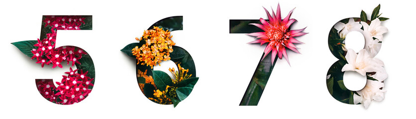 Flower font number 5, 6, 7, 8 Create with real alive flowers and Precious paper cut shape of...