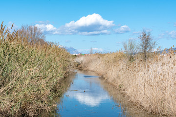 paisajes del delta del ebro - tarragona - cataluña