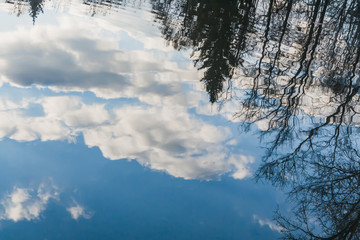 Water surface of pond with the reflection of black trees and a blue sky with white clouds in a park