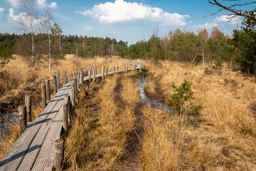 Obraz premium Hiking in the Netherlands, the plank route in the province Drenthe nearby Spier