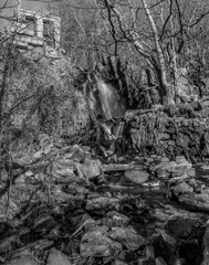 Bosque húmedo mediterráneo