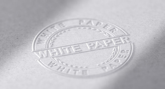 White Paper Document