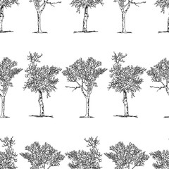 Seamless background of drawn trees