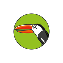 toucan bird animal in frame circular