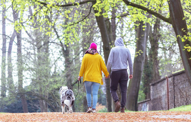 Fototapeta premium Couple in love walking a dog in the park, holding hands. View from the back.