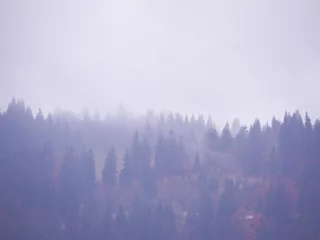 Keuken foto achterwand Mistig bos Karpaten bij de mist