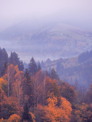 Carpatian mountains at the fog