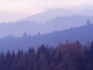 Carpatian mountains at the fog