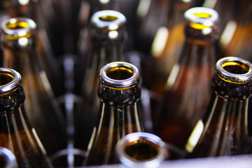 Close up of brown empty beer bottles in a case