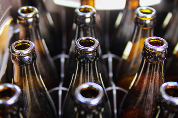 Close up of brown empty beer bottles in a case