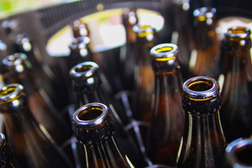 Close up of brown empty beer bottles in a case